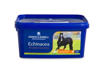 D&H Echinacea / Auringonhattu 600g