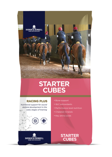 D&H Starter Cubes 20 Kg