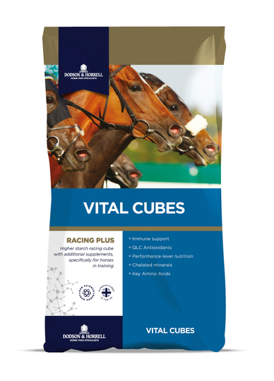 D&H Vital Cubes 25 Kg