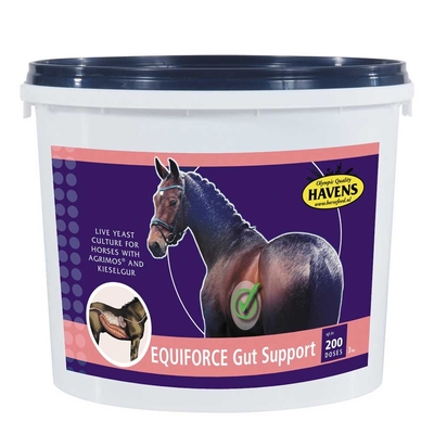 Havens Equiforce Gut Support 1 Kg