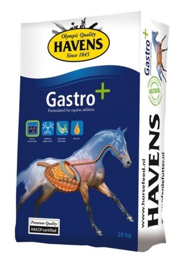 Havens Gastro + 20 kg