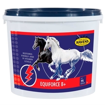 Havens EquiForce B+ 3 kg