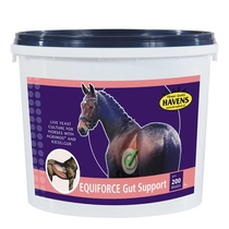 Havens Equiforce Gut Support 3 Kg